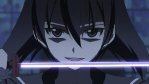 Akame ga Kill!: 1×22